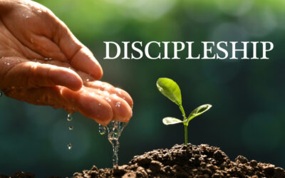 리더십의 눈으로 본 제자훈련