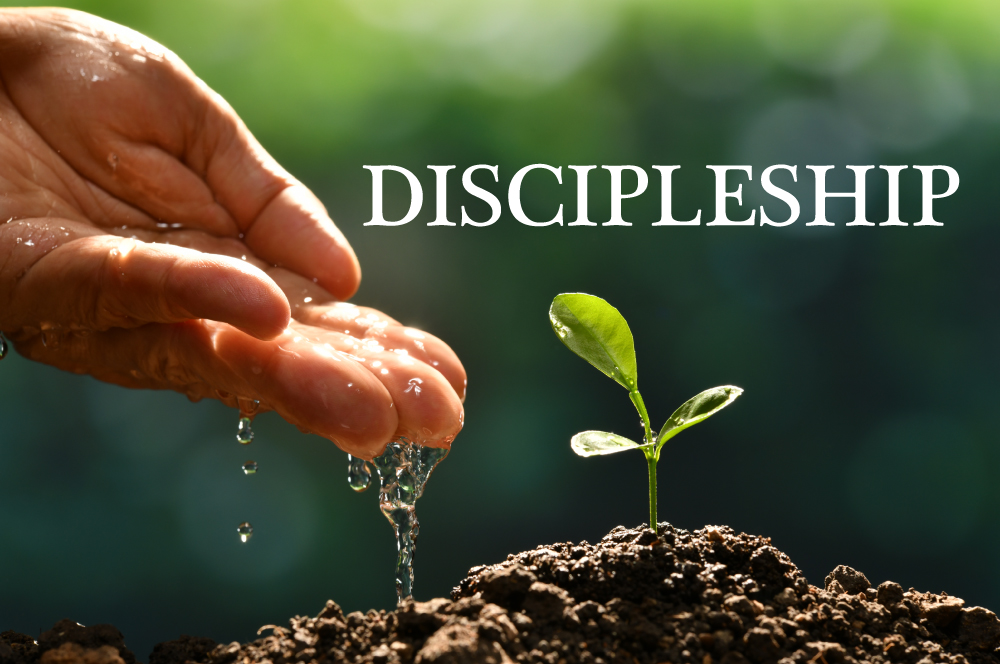 Discipleship through the Eyes of Leadership